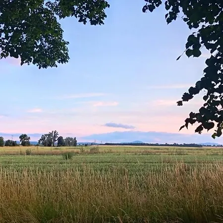 Homestay Willa Fischer Jaworzyna Slaska